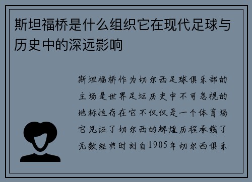 斯坦福桥是什么组织它在现代足球与历史中的深远影响